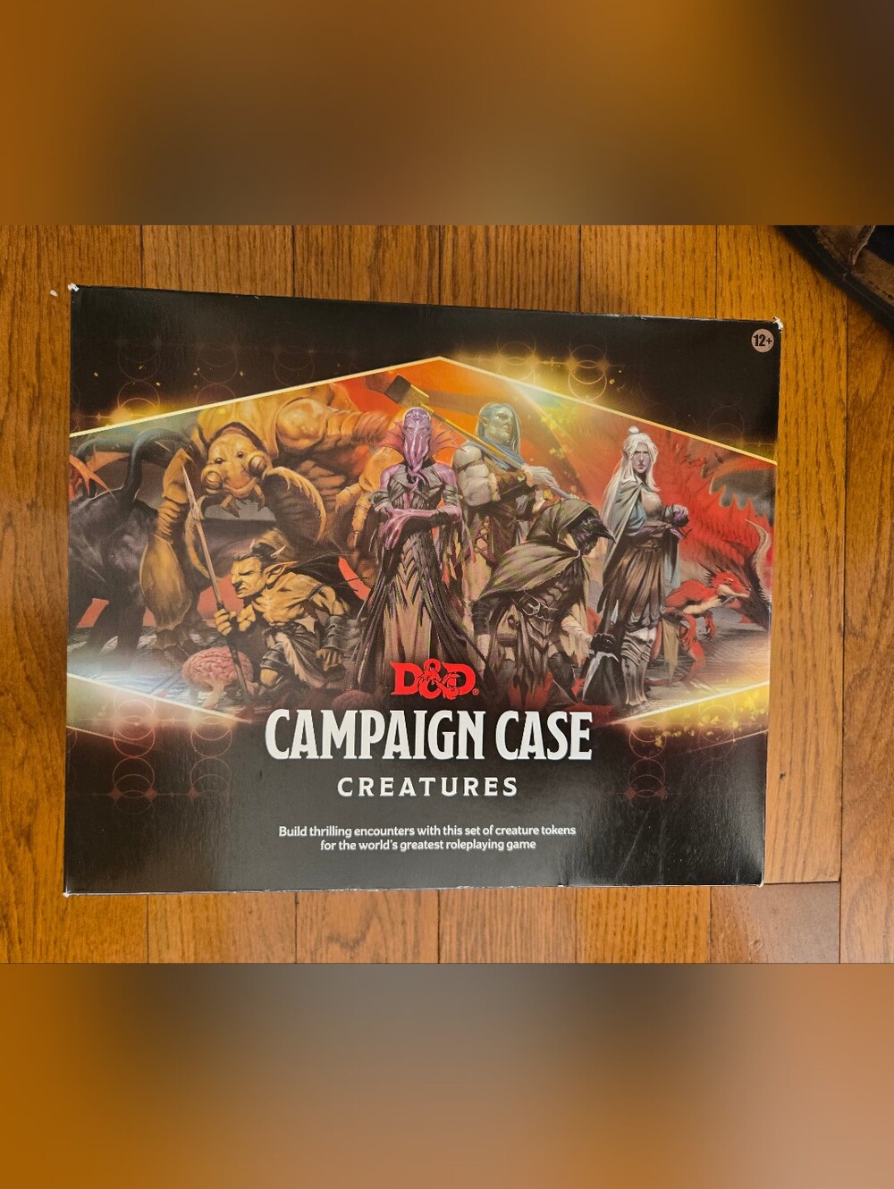 D&D Campaign Case Packaging